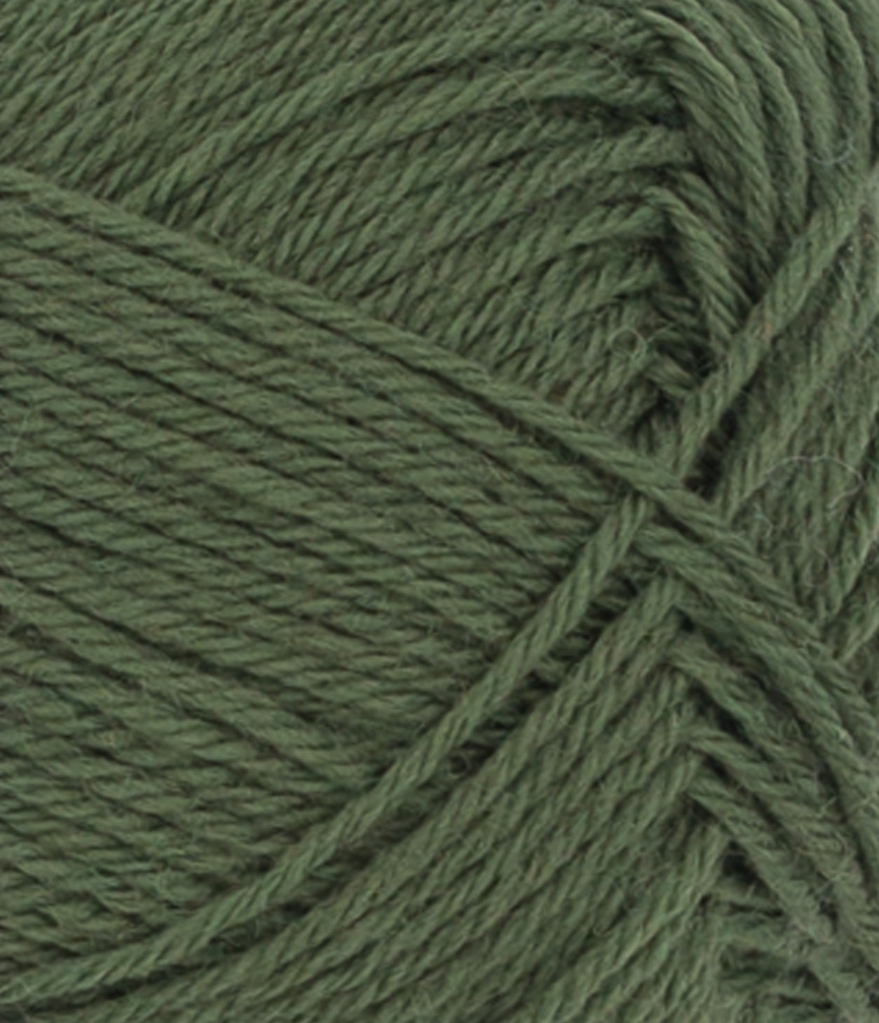 Sandnes Garn Sisu 9573 Mosegronn / Moosgrün