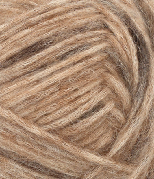 Poppy 3400 Chocolate Cookie