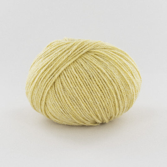 Fonty TARTAN 3 2025 Zartes Gelb meliert